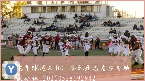 意甲球迷文化：各队死忠看台与助威传统_20260528192942