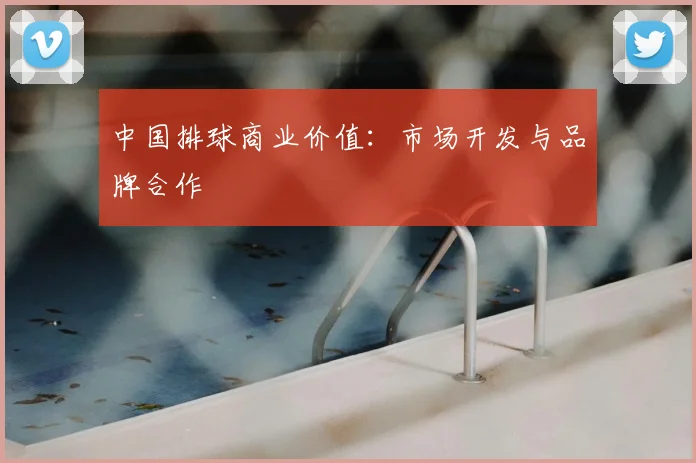 中国排球商业价值：市场开发与品牌合作